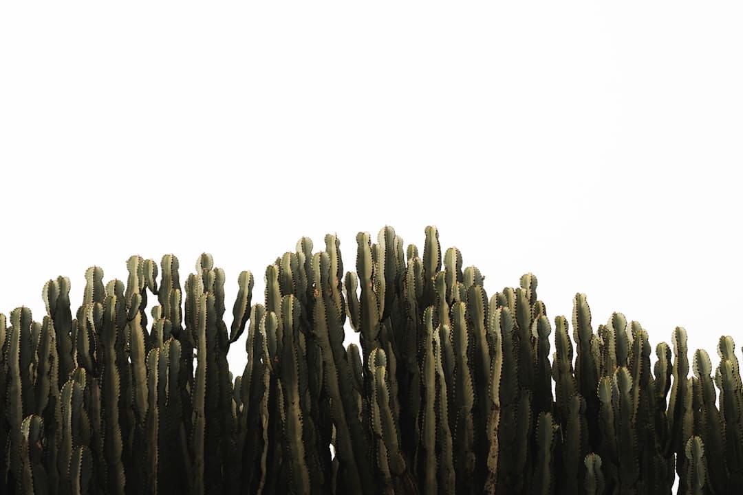鲤城区经过一批人事任免!